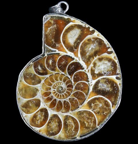 Fossil Ammonite Pendant - Million Years Old #83119